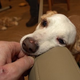 JessiIMG_1672.jpg