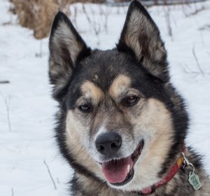 Kaya IMG_2095_.jpg