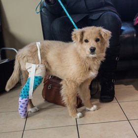 Keats--pre_surgeryIMG_7906-2.jpg