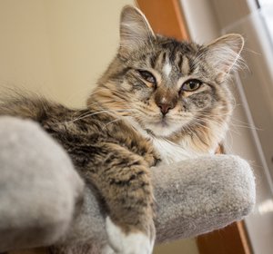 LilyIMG_7985.jpg