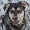 Lucy-IMG_6661.jpg