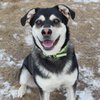 Lucy-IMG_6666.jpg