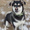Lucy-IMG_6671.jpg