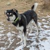 Lucy-IMG_6722.jpg