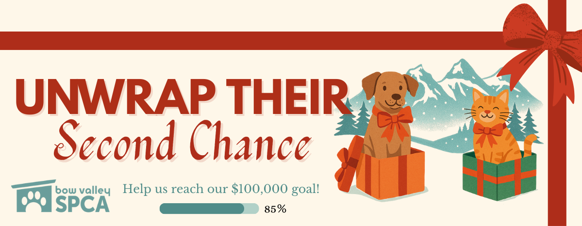 MailChimp Banner (1199 x 466 px) (19)