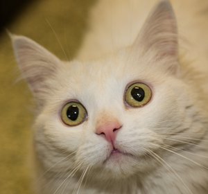 Marsha IMG_5113-2.jpg