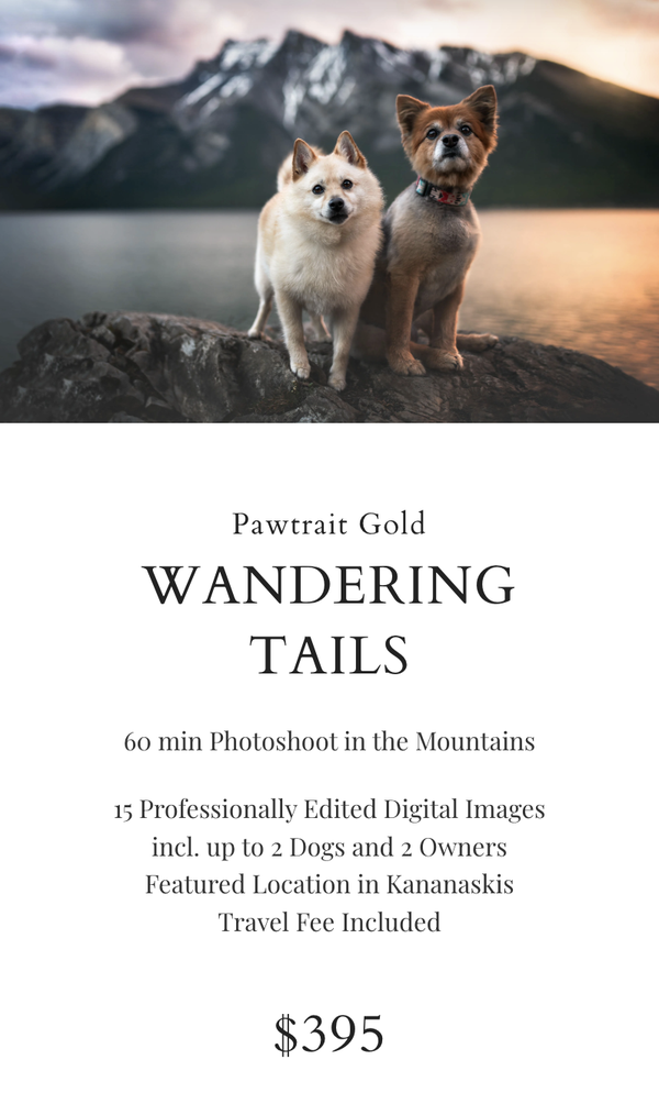 Melissa Pohl Photography (5)