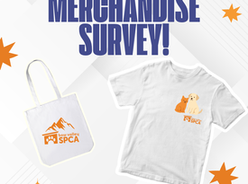 Merchandise survey! (1080 x 1080 px)