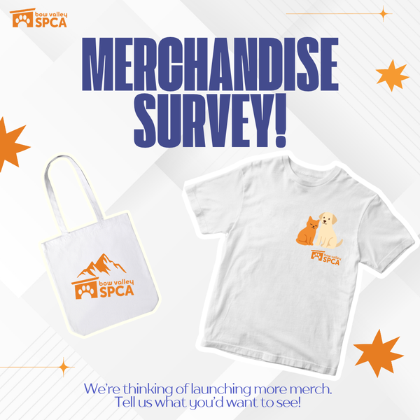 Merchandise survey! (1080 x 1080 px)