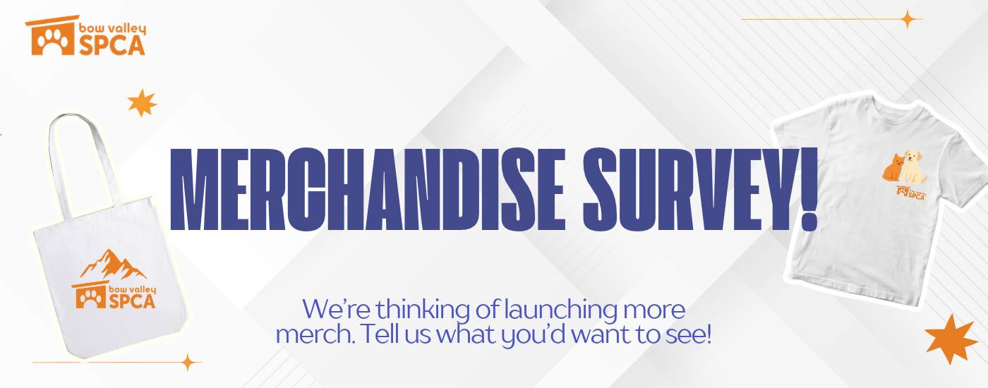 Merchandise survey! (1400 x 550 px)