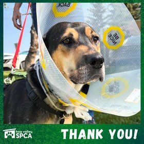 Misc. Fundraisers - Social Media (4)