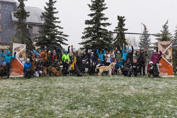 Mutt Strut Group
