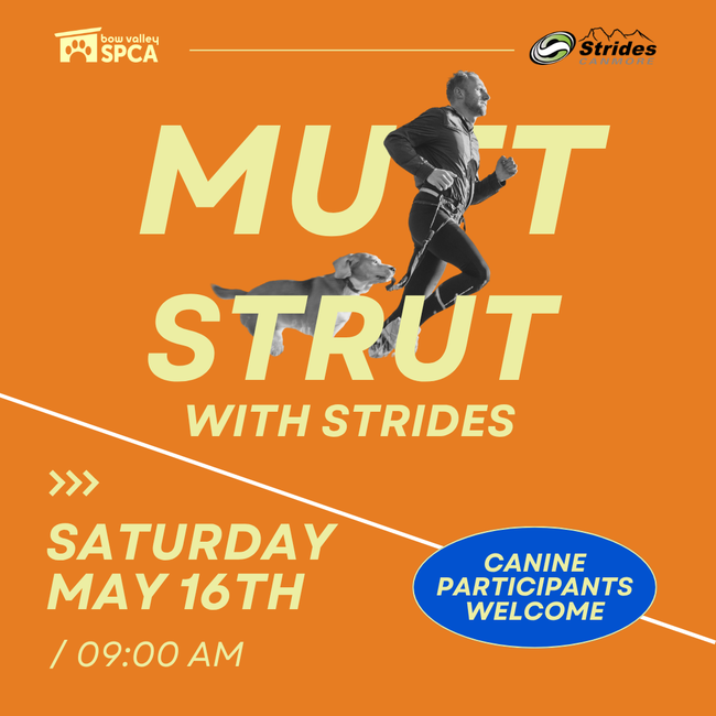 Mutt Strut Poster (1080 x 1080 px)