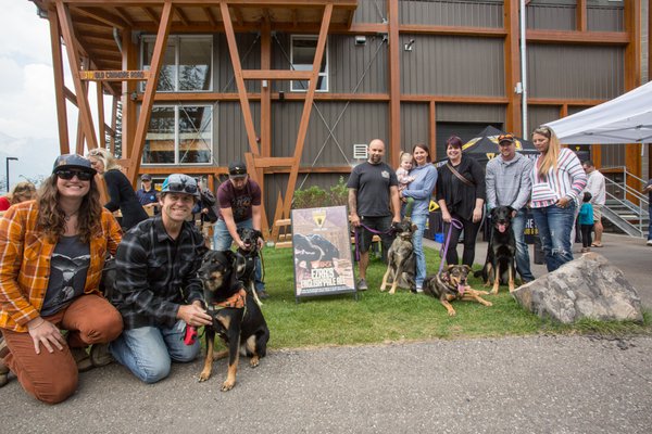 Ezra, pups and Poster