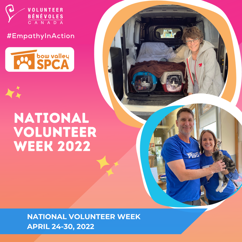 NVW 2022  (33)