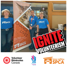 NVW Pancake Bfast - Web News