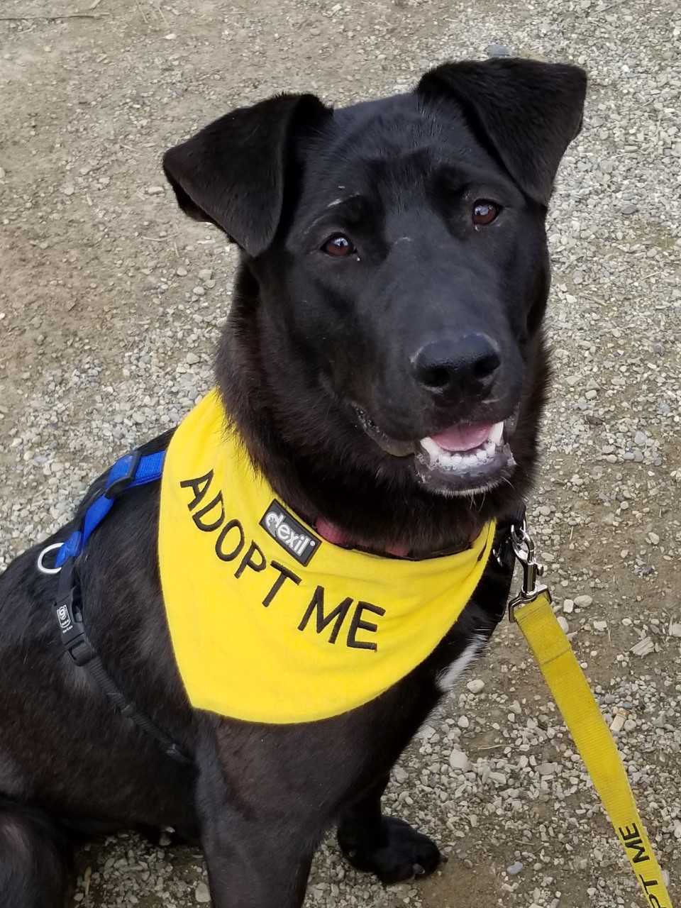 nala