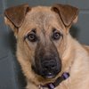 Nena IMG_2819.jpg