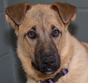 Nena IMG_2819.jpg