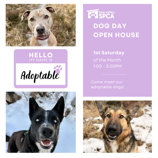 New Instagram Size - DDOH (1080 x 1080 px)