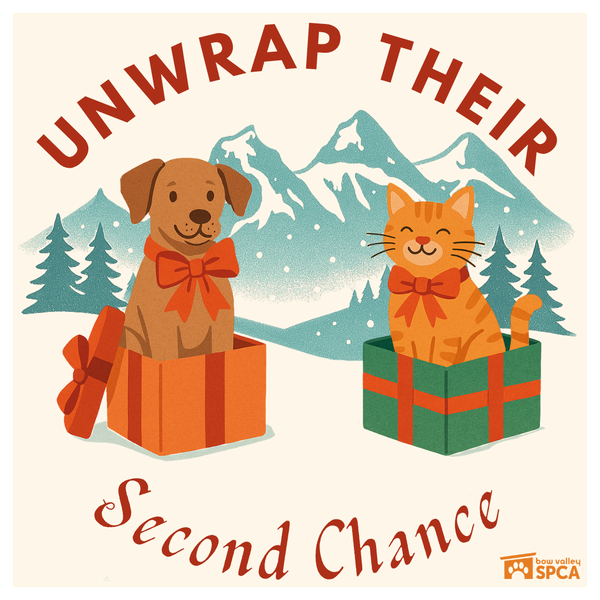 NewsEvents page logo