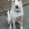 Pearl IMG_5943.jpg