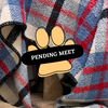 Pending Meet - baloo