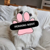 Pending Meet (10)
