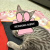 Pending Meet (16)