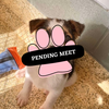 Pending Meet (2)