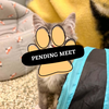 Pending Meet (22)