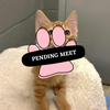 Pending Meet (23)