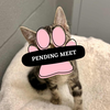 Pending Meet (24)