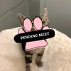 Pending Meet (26)