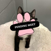 Pending Meet (28)