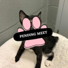 Pending Meet (29)