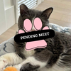 Pending Meet (31)