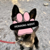 Pending Meet (32)