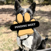 Pending Meet jasper