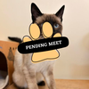 Pending Meet viktor
