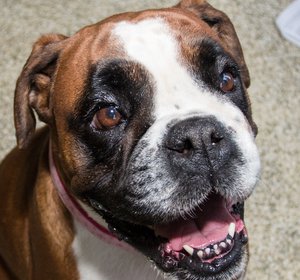 PennyIMG_4730.jpg