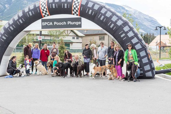 Pooch PlungeIMG_5108.jpg
