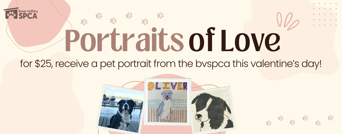 Portraits of Love 2026 (1)