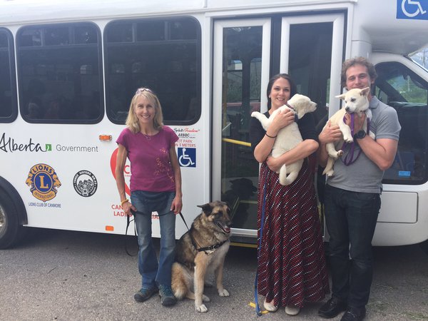 Puppies visit ladies day out-1.jpg