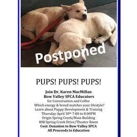 Pups! Pups! Pups! April -2020 - copy.png