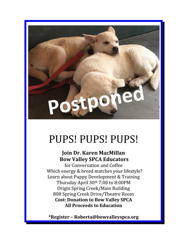 Pups! Pups! Pups! April -2020 - copy.png