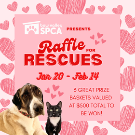 Raffle for Rescues SM (1)