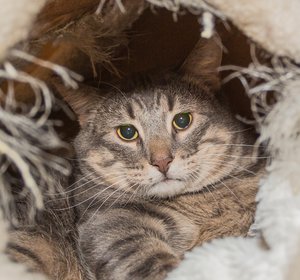 RiskyIMG_0230.jpg