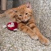 Roo  IMG_2494.jpg