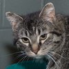 Rosco IMG_3428.jpg